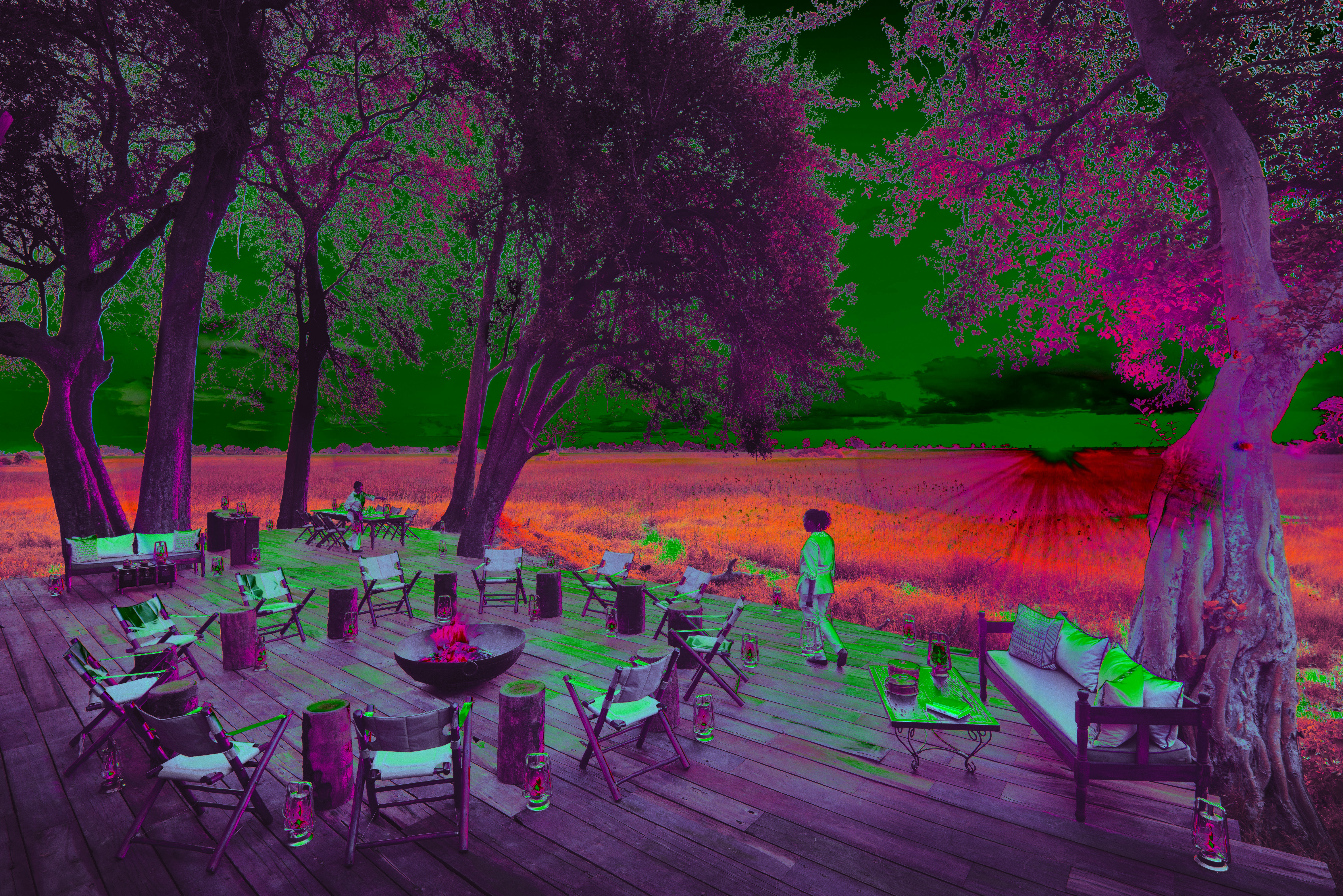 Duba Plains Camp on a Luxury Botswana Safari
